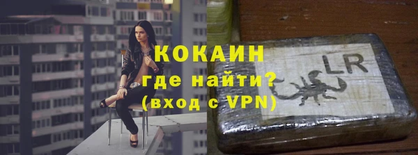 PSILOCYBIN Вяземский