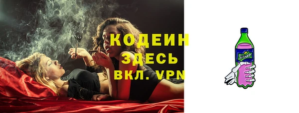 PSILOCYBIN Вяземский
