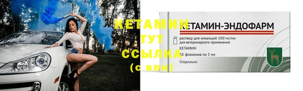 PSILOCYBIN Вяземский