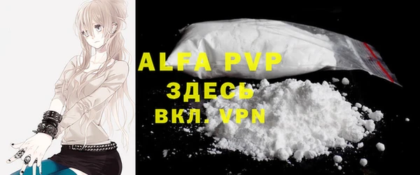 PSILOCYBIN Вяземский