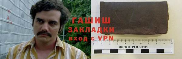 PSILOCYBIN Вяземский