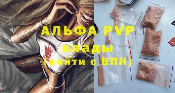 PSILOCYBIN Вяземский