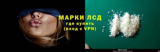 PSILOCYBIN Вяземский