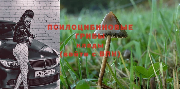 дурь Вязьма