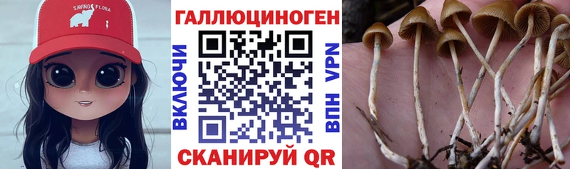 Псилоцибиновые грибы прущие грибы  мега ссылка  Дербент 